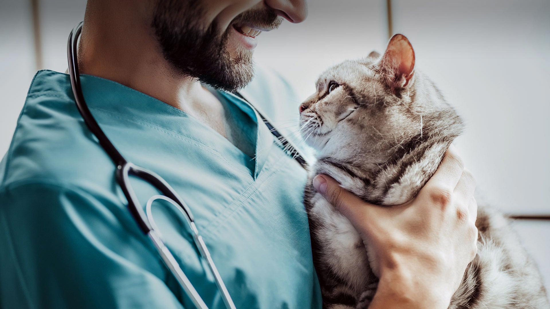 Fındıklı Veteriner